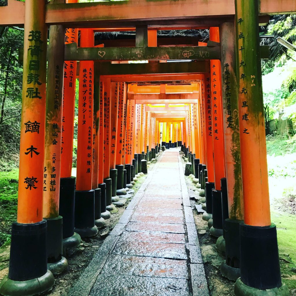 Vermilion Red Gate of Fushimi (1)